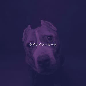 ケイナイン・カーム - Light Jazz & Coffee