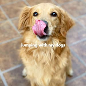 Jumping with my dogs - Relajado Musica Relajante para Perros
