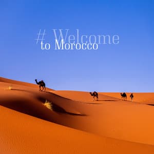 # Welcome to Morocco - Angam