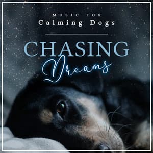 Chasing Dreams - Music for Calming Dogs