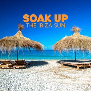 Soak Up the Ibiza Sun: The Ultimate Summer Mix, Get the Party Started, Let the Music Take You Away - Dj Adele