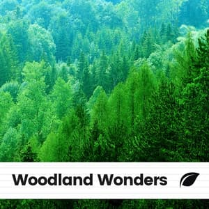 Woodland Wonders - Tranquility Spa Universe