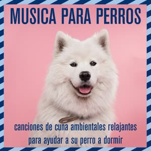 Música para perros: canciones de cuna ambientales relajantes para ayudar a su perro a dormir - Relaxmydog