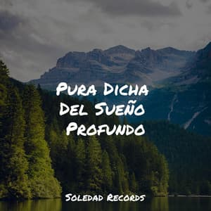 Pura Dicha Del Sueño Profundo - Lluvia