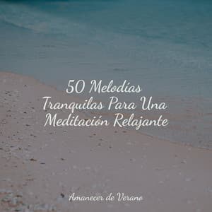 50 Melodías Tranquilas Para Una Meditación Relajante - Guitarra Clásica Española