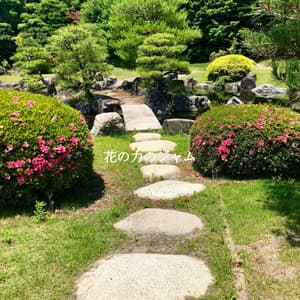 花の力のジャム - Bossa Nova Jazz Cafe