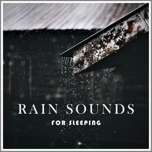 Rain Sounds for Sleeping - Rain Records Soundscapes BNLXA
