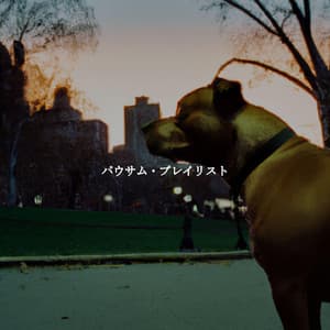 パウサム・プレイリスト - Música Tranquila para Cafe