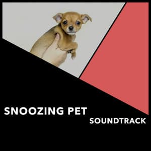 Snoozing Pet Soundtrack - Dogs Music Therapy