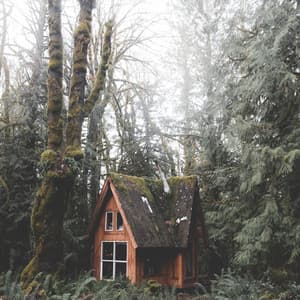 Sounds of Sleep | Meditation & Yoga Therapy - The Sleep Helpers