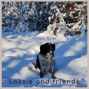 Happy Dogs - Lassie and friends