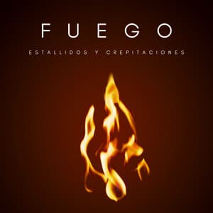 Fuego: Fuego: Estallidos Y Crepitaciones - Música para el Trabajo