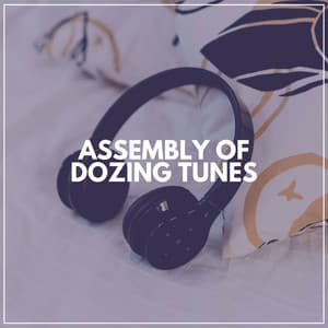 Assembly of Dozing Tunes - Lily's Corner