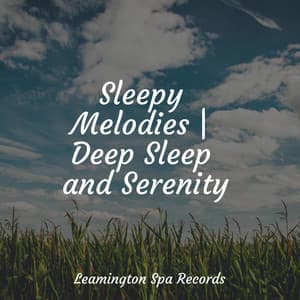 Sleepy Melodies | Deep Sleep and Serenity - Rest & Relax Nature Sounds