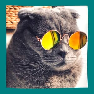 Backdrop for The Cutest Kitten - Soprano Sax Solo - Soothing Cat Music