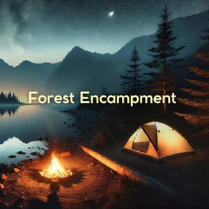 Forest Encampment: Night Nature Sounds for Relaxation, Sleep, Stress Relief - Relaxation Meditation Songs Divine