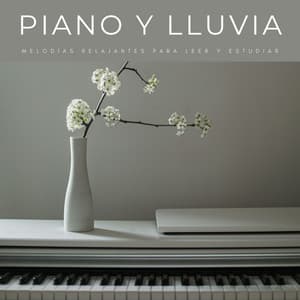 Piano Y Lluvia: Melodías Relajantes Para Leer Y Estudiar - Música para el Trabajo