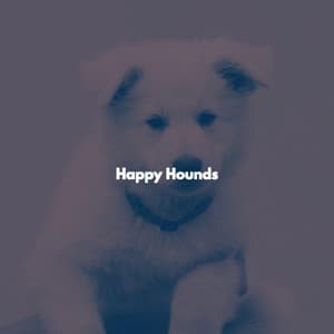 Happy Hounds - Musica per la Colazione