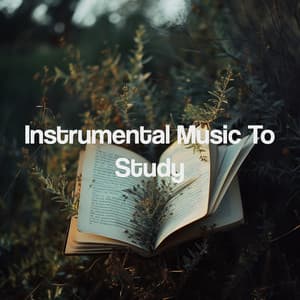 Instrumental Music To Study - Kundalini: Yoga, Meditation, Relaxation