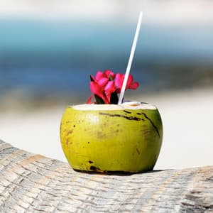 Bali Vibes: Slow Electronic Chill House Music - Dj Keep Calm 4U