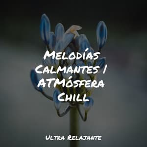 Melodías Calmantes | ATMósfera Chill - Sonidos de lluvia para dormir