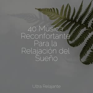 40 Música Reconfortante Para la Relajación del Sueño - Naturaleza Relajacion