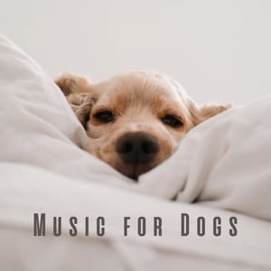 Music for Dogs: Harmonic Tunes for Calm Moments - Sintrano