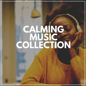 Calming Music Collection - Meditative Music Guru