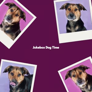 Jukebox Dog Time - Musica para Hoteles De Lujo