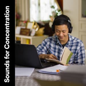Sounds for Concentration - Exam Study
