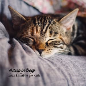 Asleep in Deep: Jazz Lullabies for Cats - Classic Jazz Chill