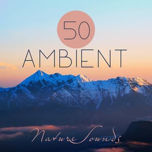 50 Ambient Nature Sounds: Best Relaxing Spa Music, Hypnotic Ocean Waves for Meditation, Calm Sounds of Rain for Sleep, Healing New Age and Singing Birds to Reduce Stress - Abundant Nature Zen