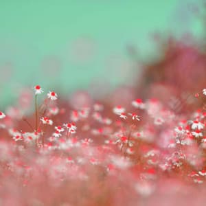 Jazz Piano Duo - Music for Sleepy Monday - Pianomuziek