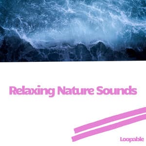 Relaxing Nature Sounds: Ocean and Pink Noise, Loopable - Pink Noise