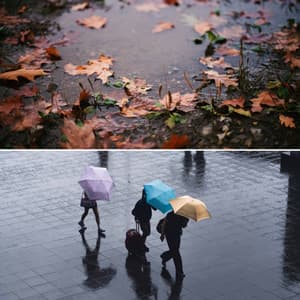 Bubbly Backdrop for Relax and Study - Lo Fi Study Chill