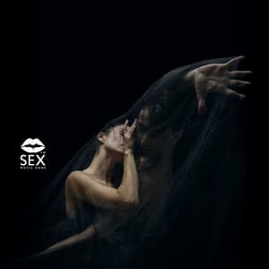 Boundless Inside You - Sex Music Zone