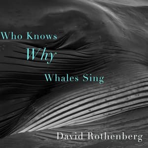 Who Knows Why Whales Sing - David Rothenberg