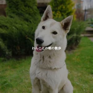 わんことの朝の散歩 - Coffeehouse Jazz