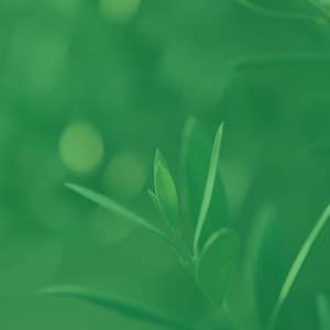 Music for Devoted Inspiration - Funky No Drums Jazz - Vintage Cafe Playlist