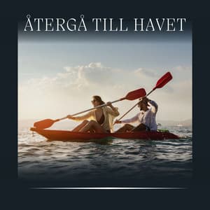 Återgå Till Havet - Avslappning och avspänning för dig