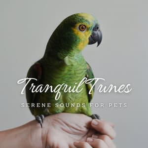 Tranquil Tunes: Serene Sounds for Pets - Classical Piano Music