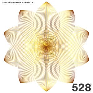 528 Hz - Meditation