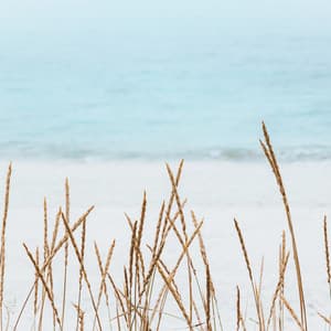 Relaxation - Entspannings und Schlaf Musik