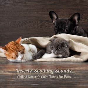 Insects' Soothing Sounds: Chilled Nature's Calm Tunes for Pets - Forest Crickets