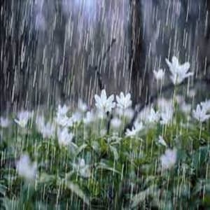 The Gentle Rain and Angry Thunderstorms for Background Sounds and Natural White Noise - White Noise Background