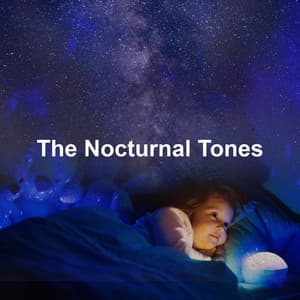 The Nocturnal Tones - Classical Music for Baby Orchestra