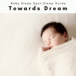 1 Towards Dream - Baby Sleep Spot