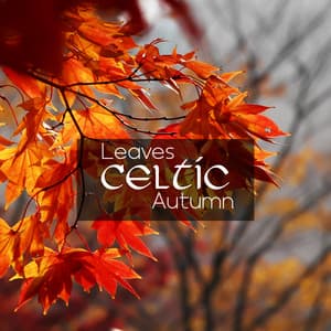 Autumn Celtic Leaves - Magic World Music Ensemble
