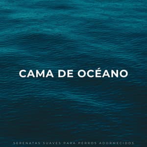 Cama De Océano: Serenatas Suaves Para Perros Adormecidos - Sonidos de las olas del océano Pacífico