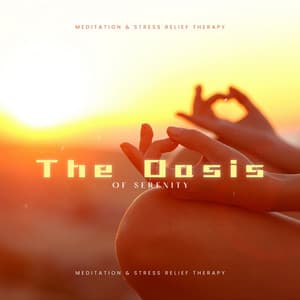 The Oasis of Serenity: Nurturing a Meditation Practice - Meditation & Stress Relief Therapy